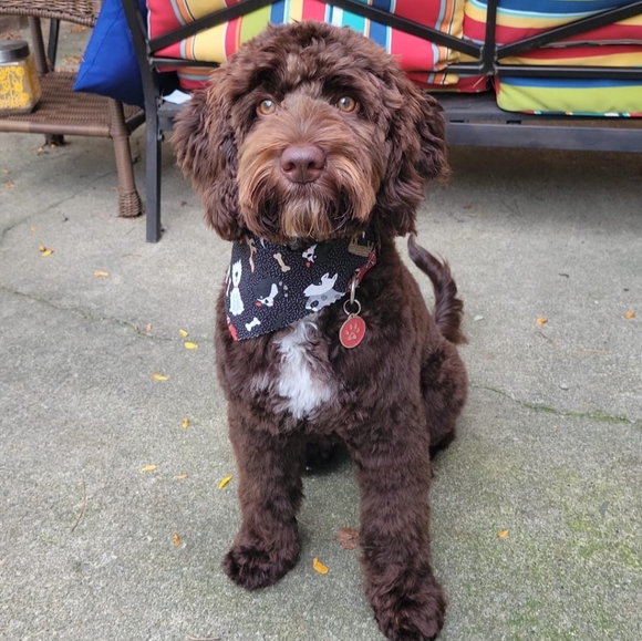 ReBecca 🌿excellent condition pre-loved fashion. - Picture 4 of 15